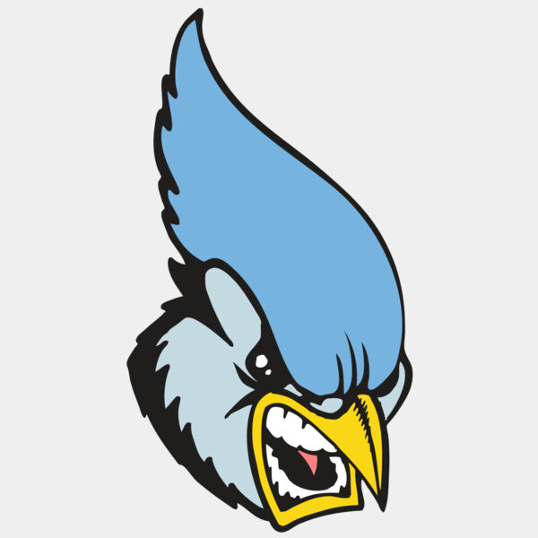 BAW BLUEJAY 05 RC Thumbnail