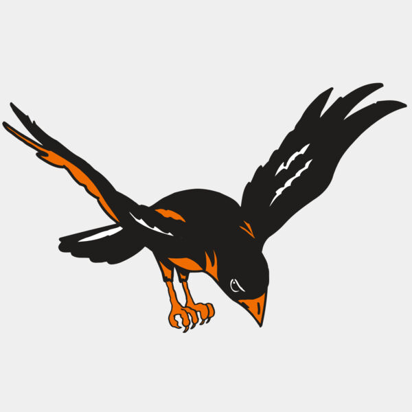 AR ORIOLE 16 RC Thumbnail