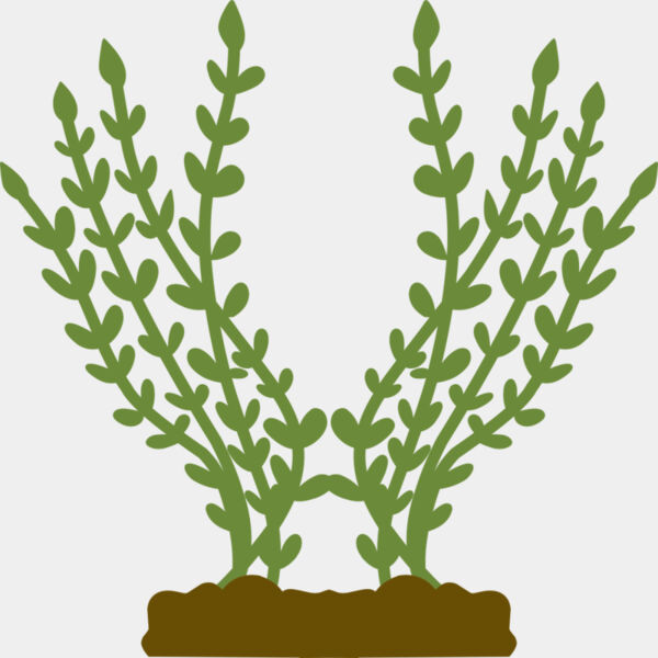 Plants 4 Thumbnail