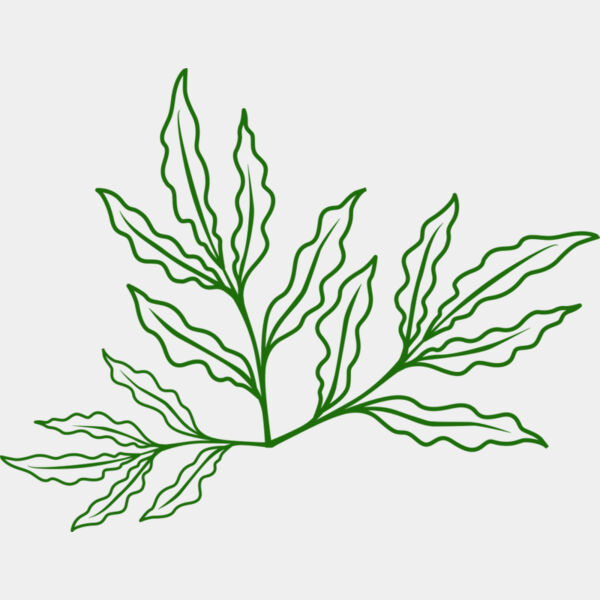 Leaves 7 Thumbnail