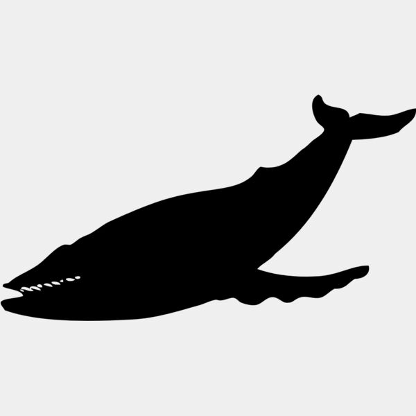 Whale Silhouette 1 Thumbnail