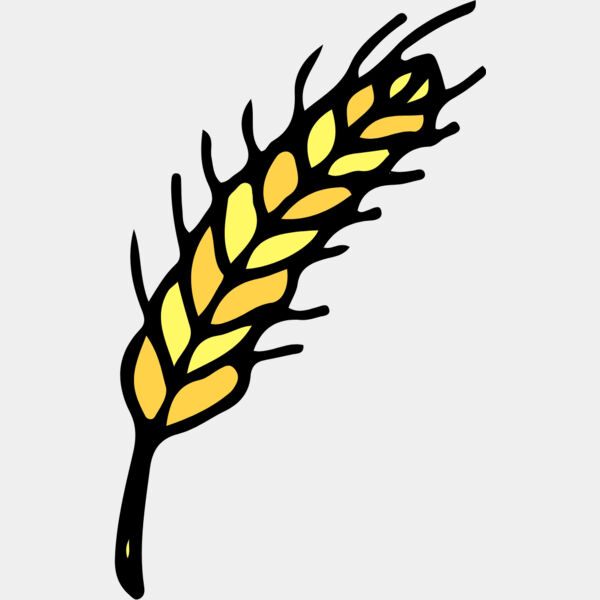 Autumn Fall Wheat Grain 1 Thumbnail