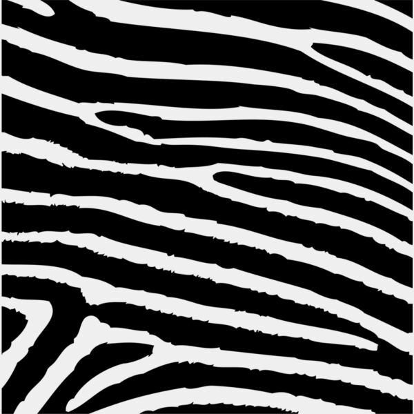 Zebra Print Stripes Background 4 Thumbnail