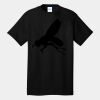 Tall Core Cotton Tee Thumbnail